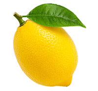 Limoo l 1